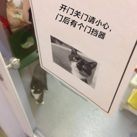 猫猫标语：